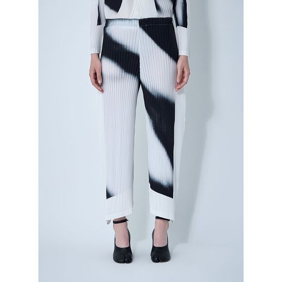 Issey Miyake Women Shadow Study Pants